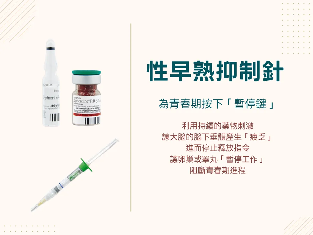 大花醫師說明性早熟抑制針作用於腦下垂體受體、暫停青春期訊號的機轉