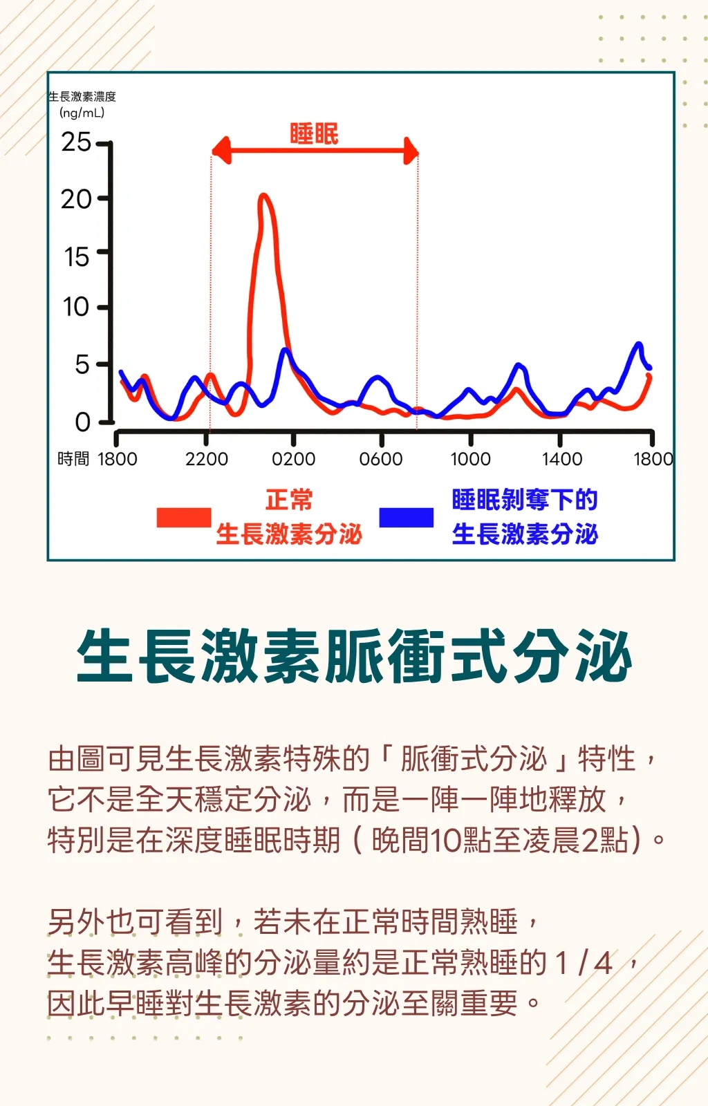 生長激素在夜間深層睡眠時脈衝式分泌的示意圖，白天低、入睡後 60–90 分鐘出現最強一波