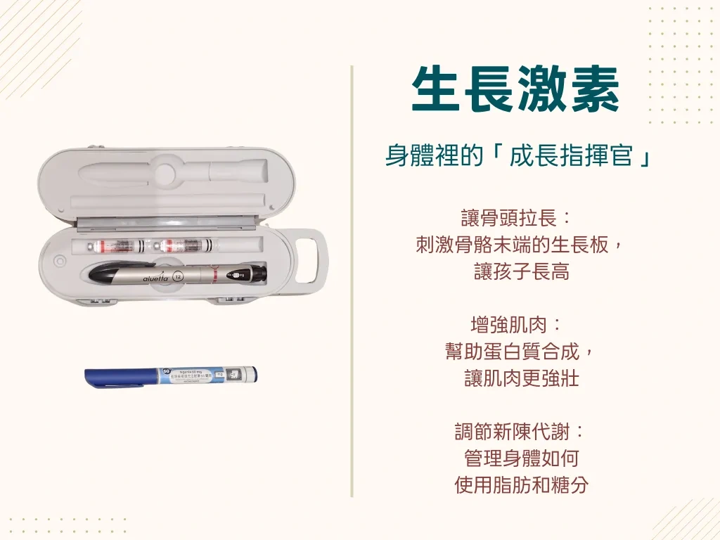 大花醫師梁盛賓說明生長激素治療如何加快兒童生長速度