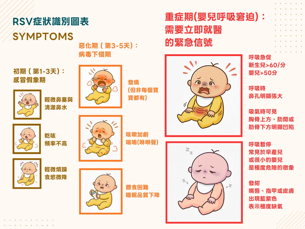 RSV嬰兒症狀識別圖表，包含初期、惡化期與重症期症狀對比